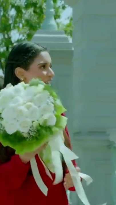 Whatsapp video status