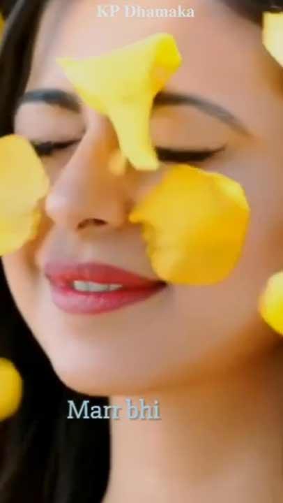 Whatsapp video status