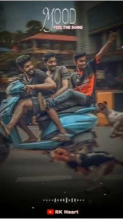 Whatsapp video status