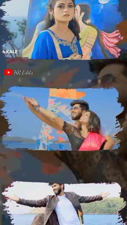 Whatsapp video status