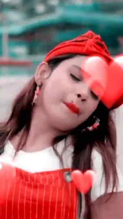 Whatsapp video status