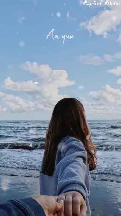 Whatsapp video status