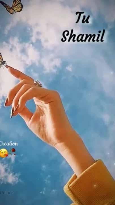 Whatsapp video status