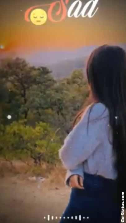 Whatsapp video status