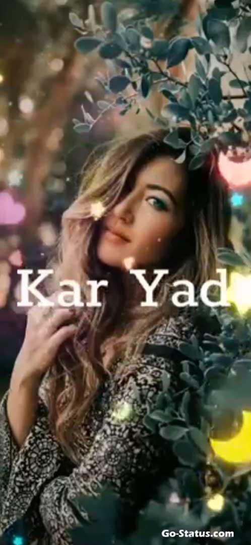 Whatsapp video status