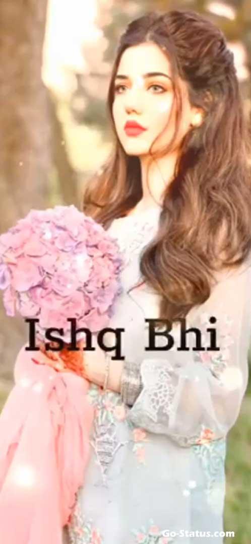 Whatsapp video status