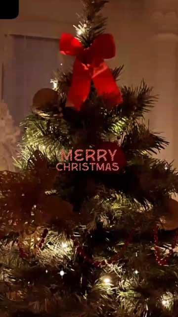 Whatsapp video status