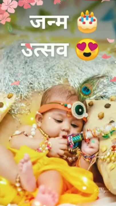 Whatsapp video status