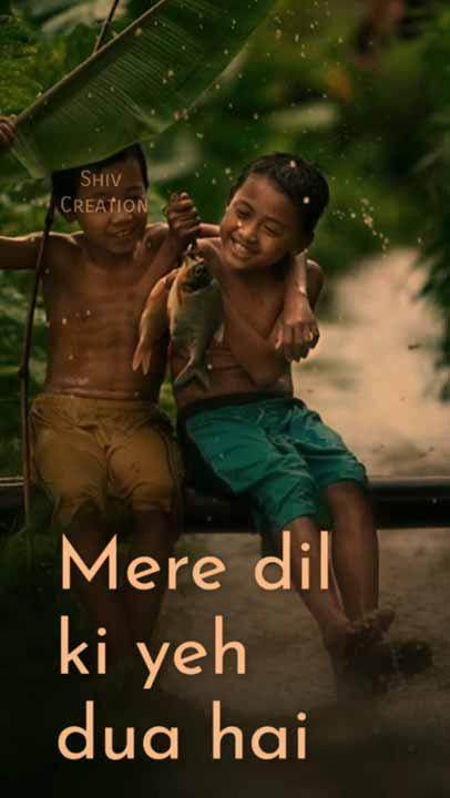 Whatsapp video status