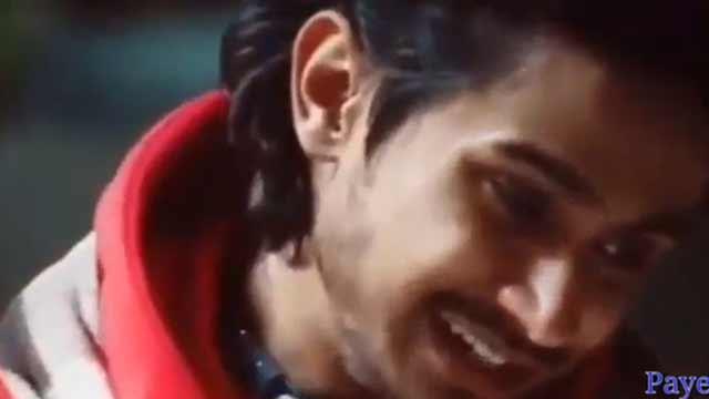 Whatsapp video status
