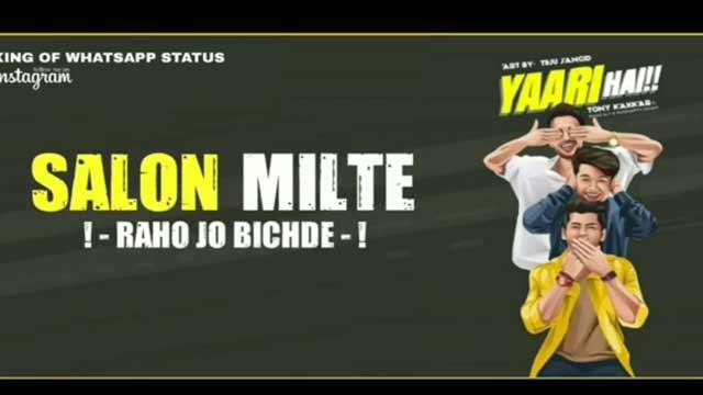 Whatsapp video status