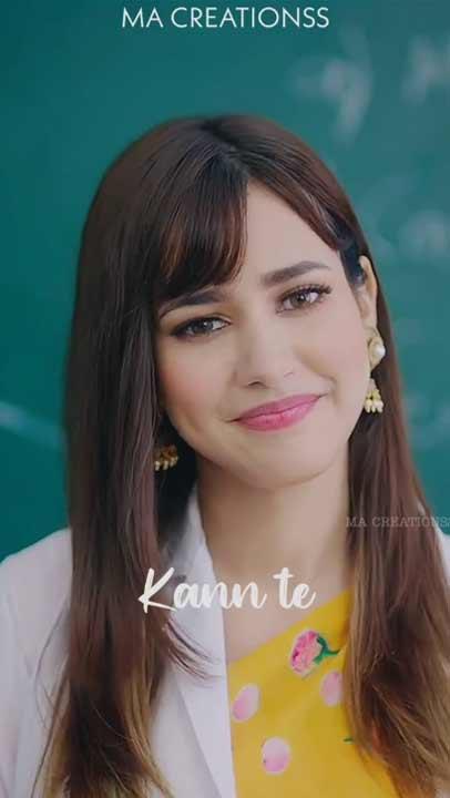 Whatsapp video status