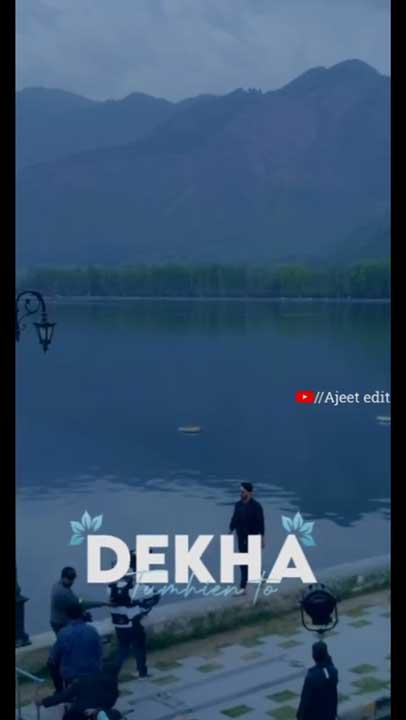 Whatsapp video status