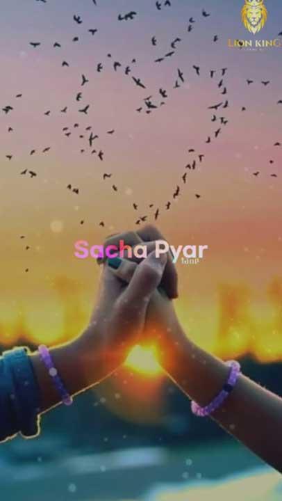 Whatsapp video status