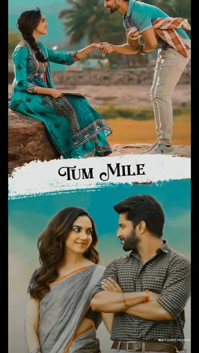 Whatsapp video status