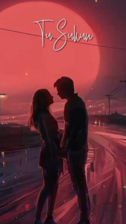 Whatsapp video status
