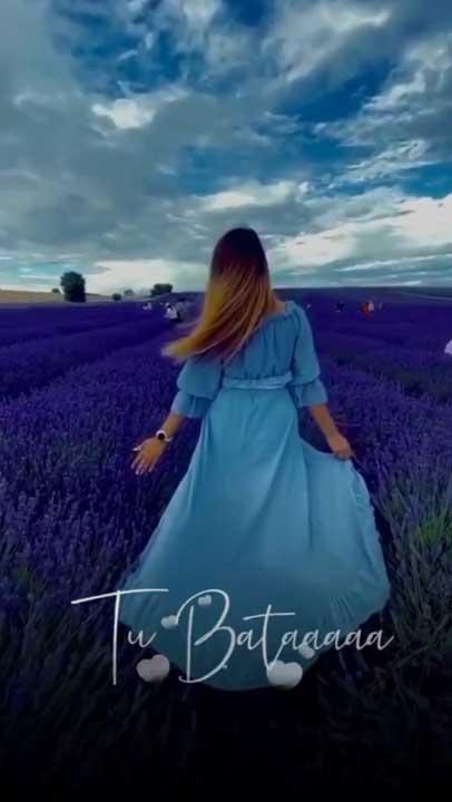 Whatsapp video status