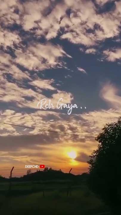 Whatsapp video status