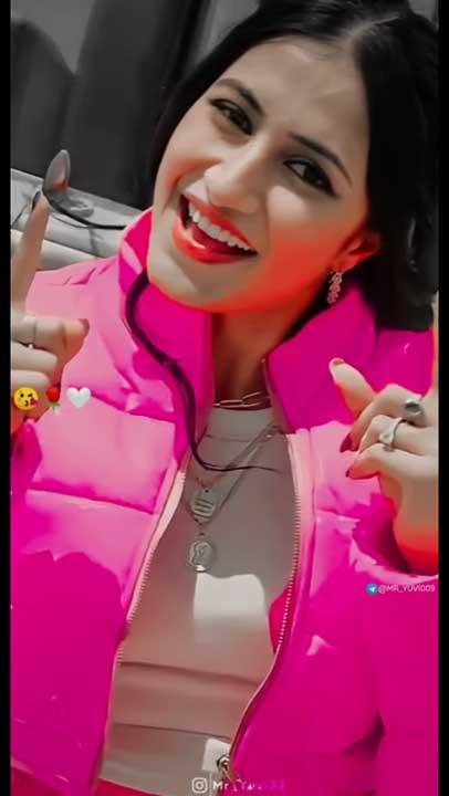 Whatsapp video status