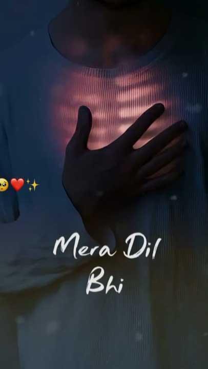 Whatsapp video status
